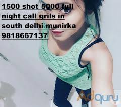 Short 1500 Night 7000 Call Girls In Gulmohar Park  DELHI 9818667137