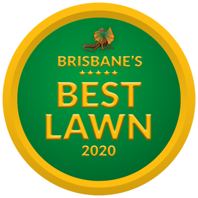 Brisbane's Best Lawn